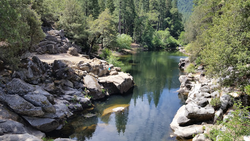 White Azalea Campground - Thumbnail