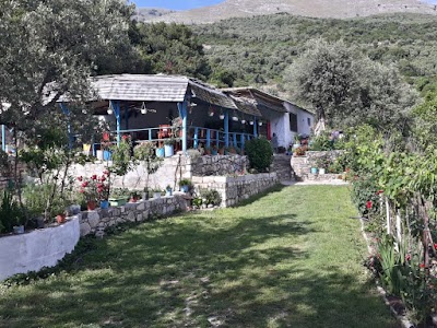 Taverna"Dashi"