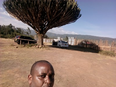 Photos of Georges resort