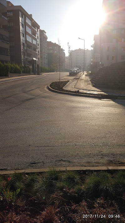 Photos of Altınşehir