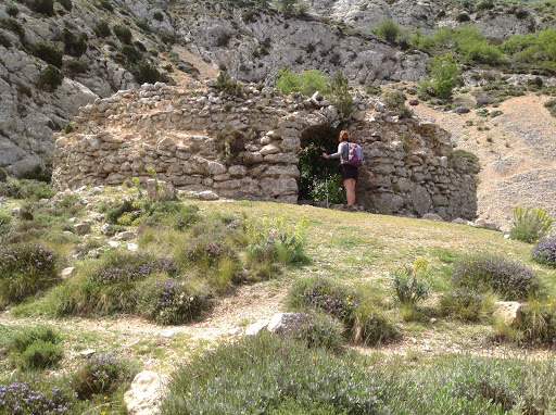 Mallá del llop - Thumbnail