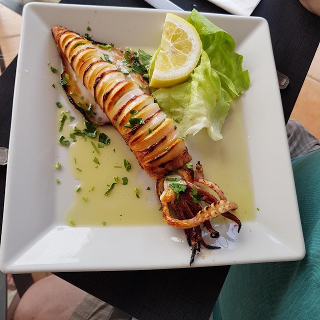 Ristorante Pizzeria Il Pinguino