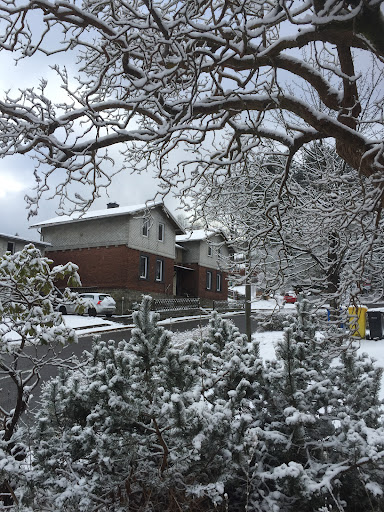 Ferienhaus Rechenberg Bienemuhle - Thumbnail