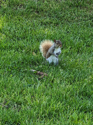 Binford Park - Thumbnail