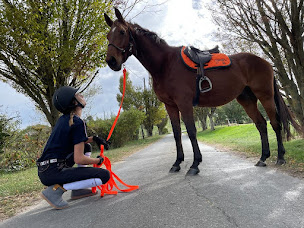 Photo n°7 de PADD Albi à Albi (Magasin de matériel d'équitation)