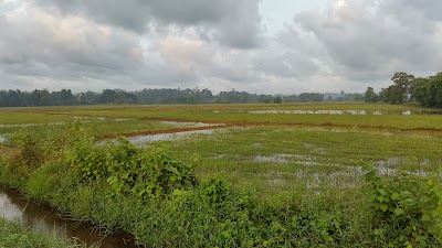 Photos of Genuine Sri Lankans Tours
