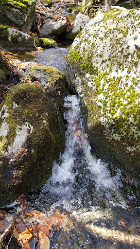 Jewett Preserve - Thumbnail