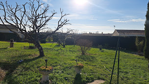 Photo n°9 de AJP Élagage Cognac à Cognac (Service d'élagage)