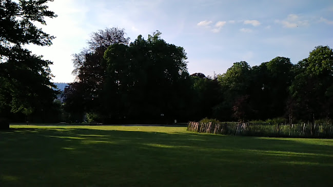 Beoordelingen van Speeltuin Wolvendaal in Brussel - Timmerman