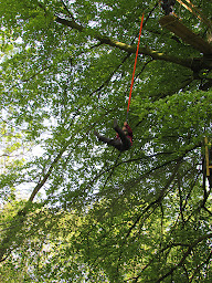 Photo n°36 de Angiens Accrobranche Aventures à Angiens (Village de vacances)