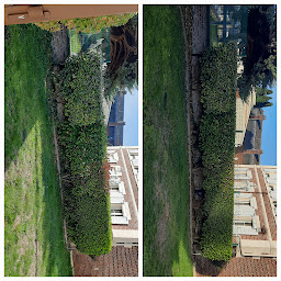 Photo n°9 de Bryan.V MultiServices à Bresles (Jardinier)