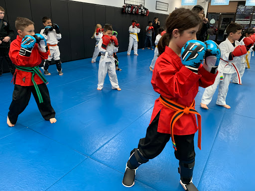 Livermore Martial Arts Academy, LLC - Thumbnail