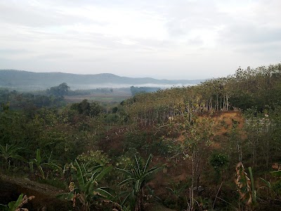 natural-feature