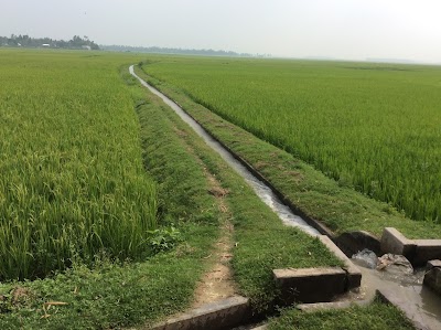 Photos of Syphon Type Irrigation Feeder Channel