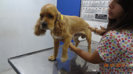 Clínica veterinaria psv de conkal