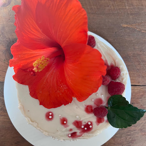 Katie's Cakes - Thumbnail