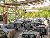 Les Palmiers à Sainte-Maxime