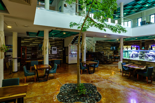 site_photo3