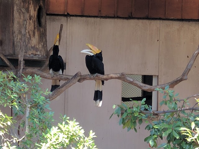 Jardin Zoologique Tropical