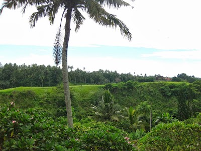 Photos of Taman Indrakila