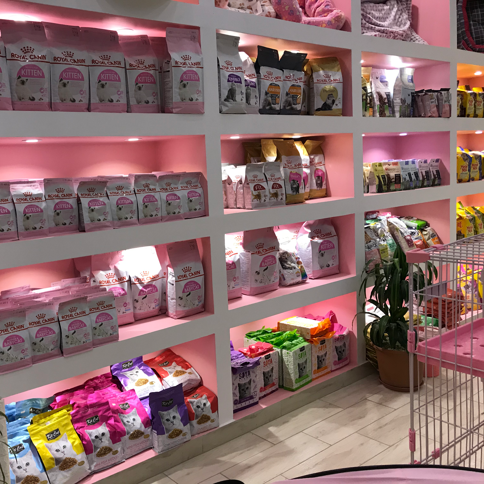 متجر الحيوان الجميل - صورة 3