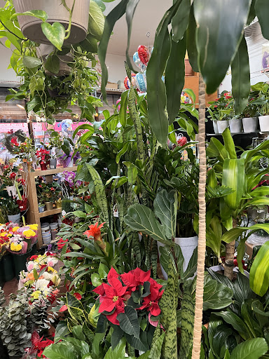 Roosevelt Flowers & Orchids LLC - Thumbnail