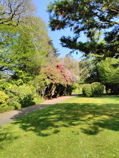 Photo de Association Perrine SAMSON à Pluméliau (56930)