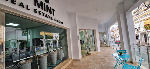 MINT REAL ESTATE GRP