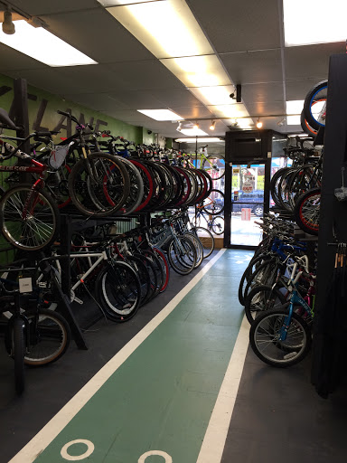 BikeLane Bicycle Store Gallery - United States
