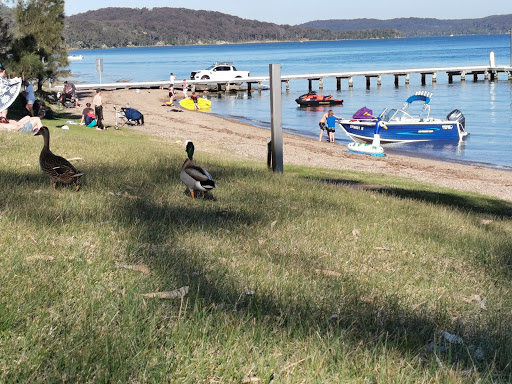 Wangi Takeaway - Thumbnail