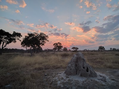 Photos of Khwai Guest House
