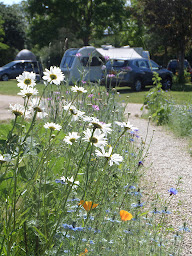 Photo n°41 de Camping Municipal à Ligny-le-Châtel (Terrain de camping)