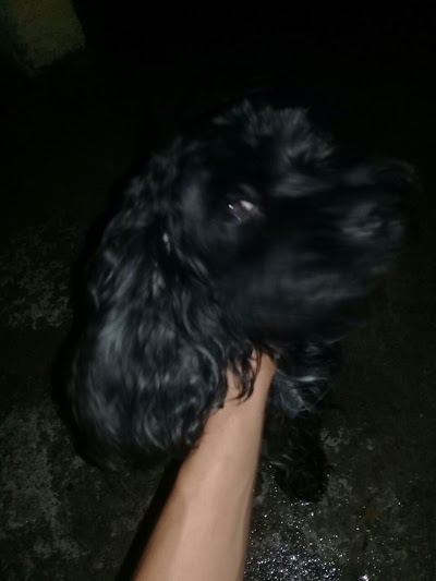 Photos of VETERINARIA LOS CARLOS