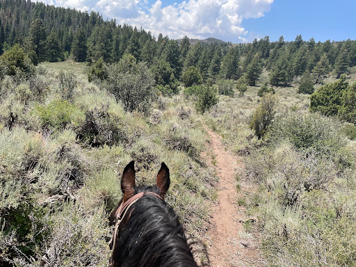 Leading Trails - Visual