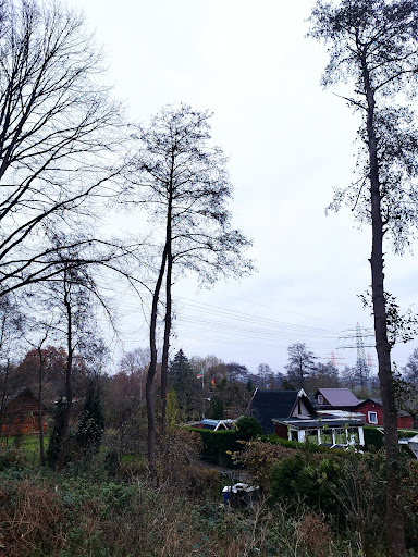 Parkplatz bei den Kleingärten und der Autobahn - Thumbnail