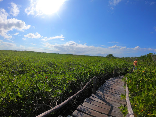 O2 Tulum Tours - Thumbnail