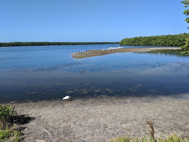 J.N. "Ding" Darling National Wildlife Refuge