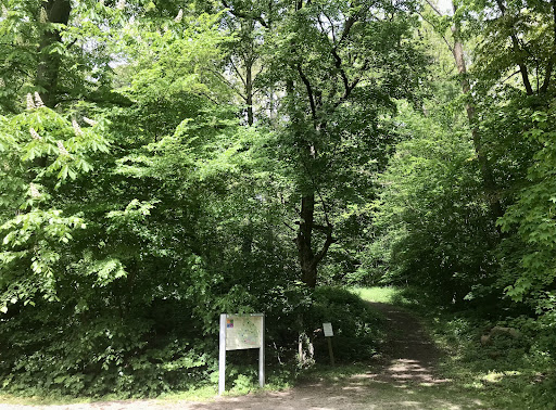 Schlosspark Rotenberg