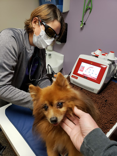 Cudahy Veterinary Clinic - Thumbnail