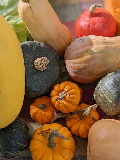 Mon Marché Bio - Thumbnail