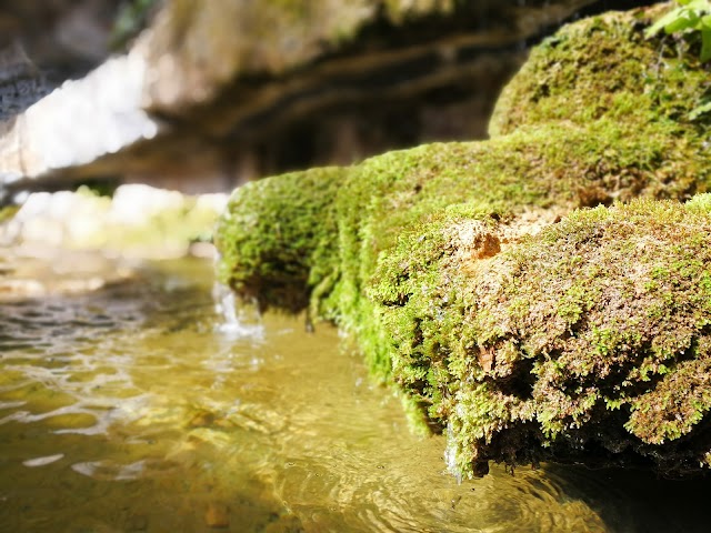 Espai Natural Sant Miquel del Fai -Tancat per obres