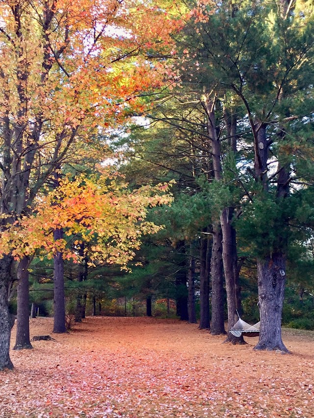 Omega Institute for Holistic Studies