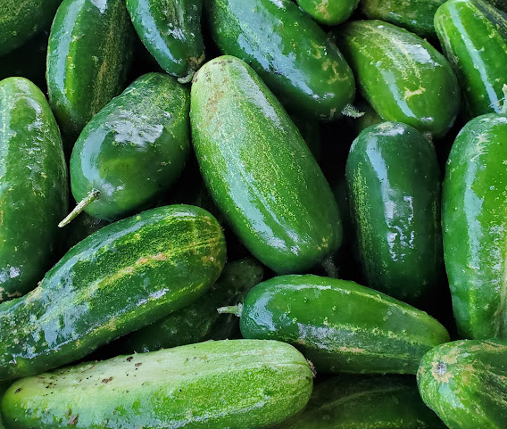 Caradonna Farms by null