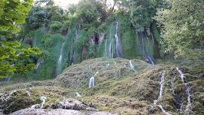 Photos of Restaurante Lago