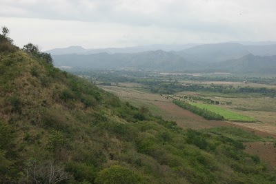 Photos of Los Laureles
