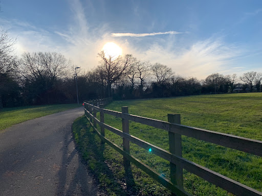 Braintree Rugby Club - Thumbnail