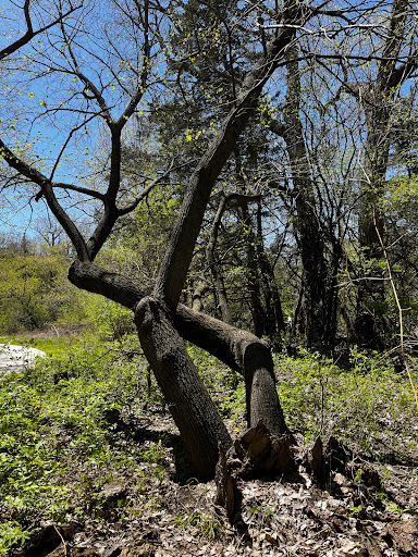 Luther Hormel Memorial Park (City of Fremont) - Thumbnail