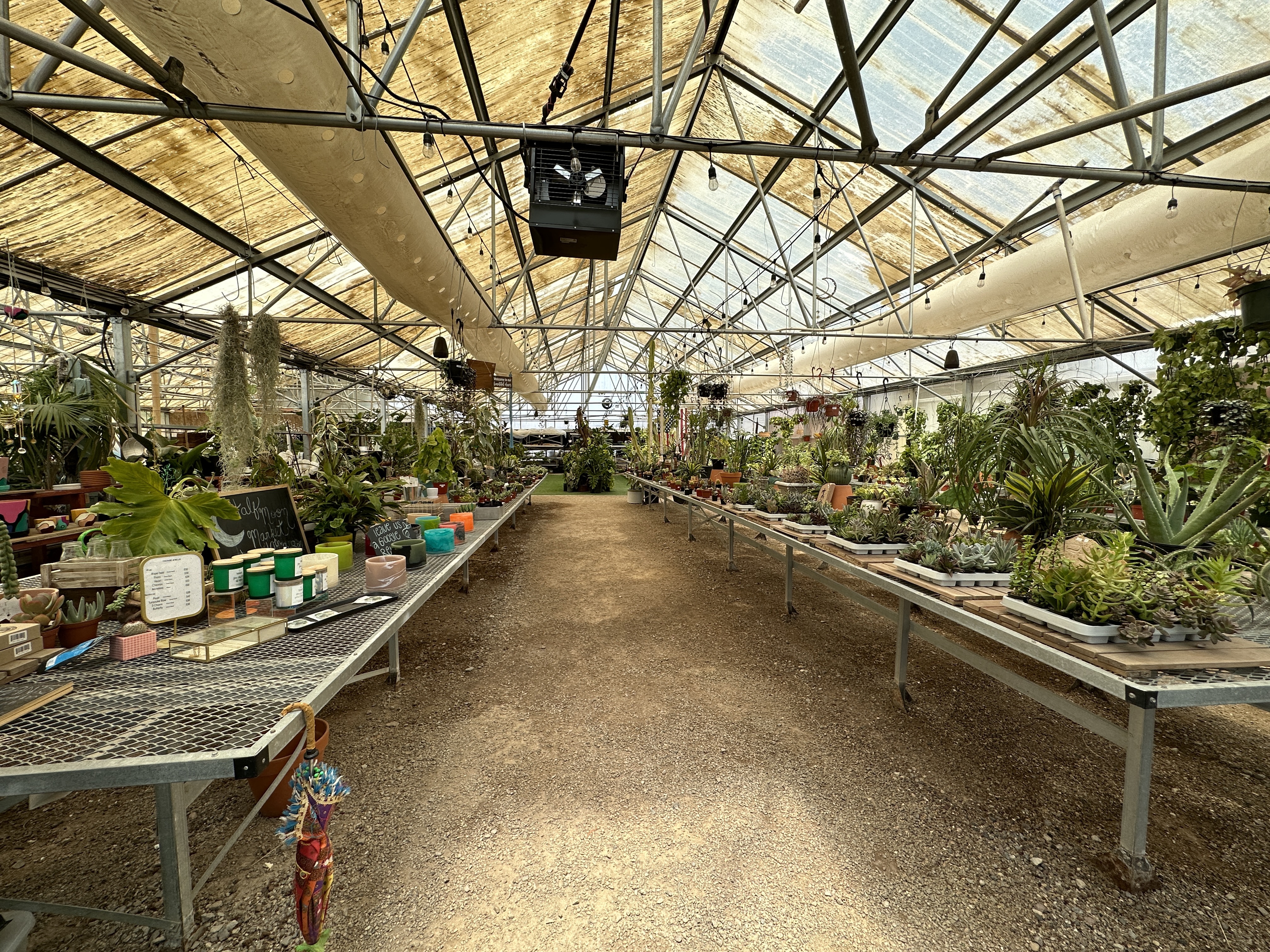 Botany