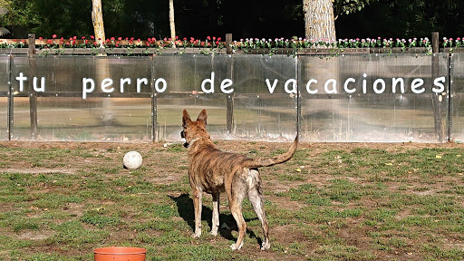 Hotel para perros O Meu Caron - Club de campo para perros. Residencia Canina Sin Jaulas