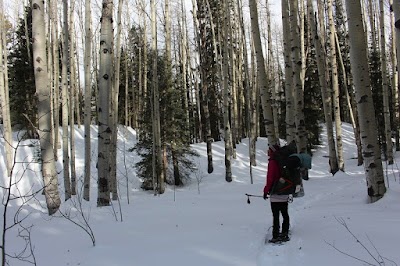 Step Outdoors Adventures